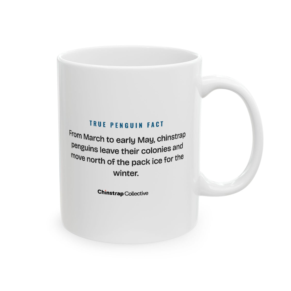 Out of Office: Antarctica Mug by Chinstrap Collective