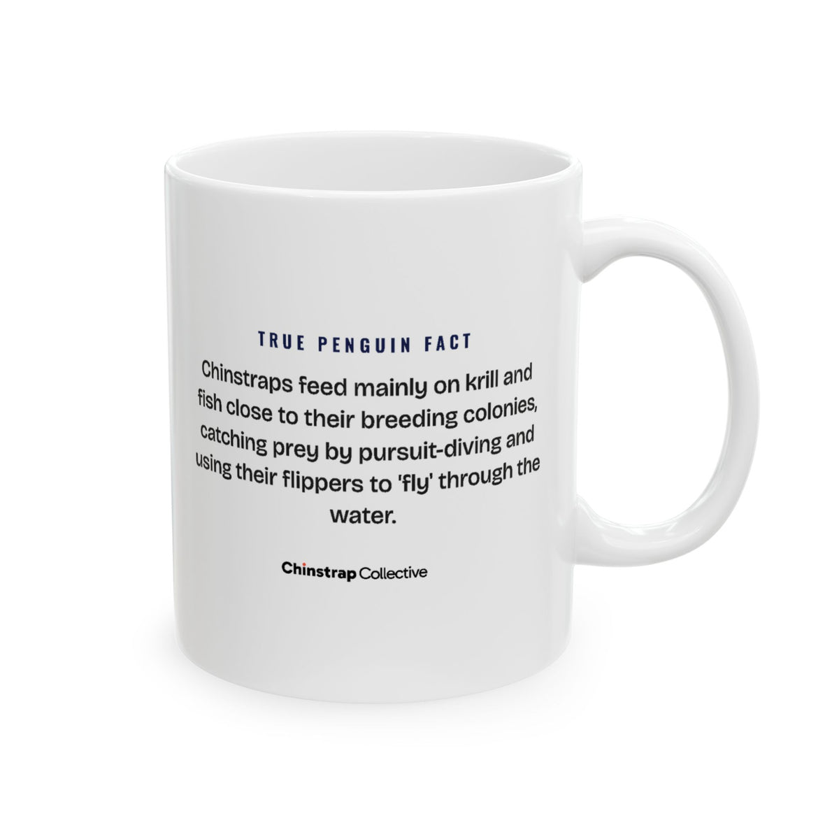 Flippers Off My Coffee Mug by Chinstrap Collective