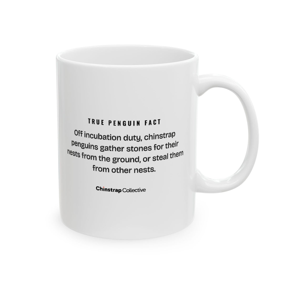 Rocks Since Hatching Mug by Chinstrap Collective
